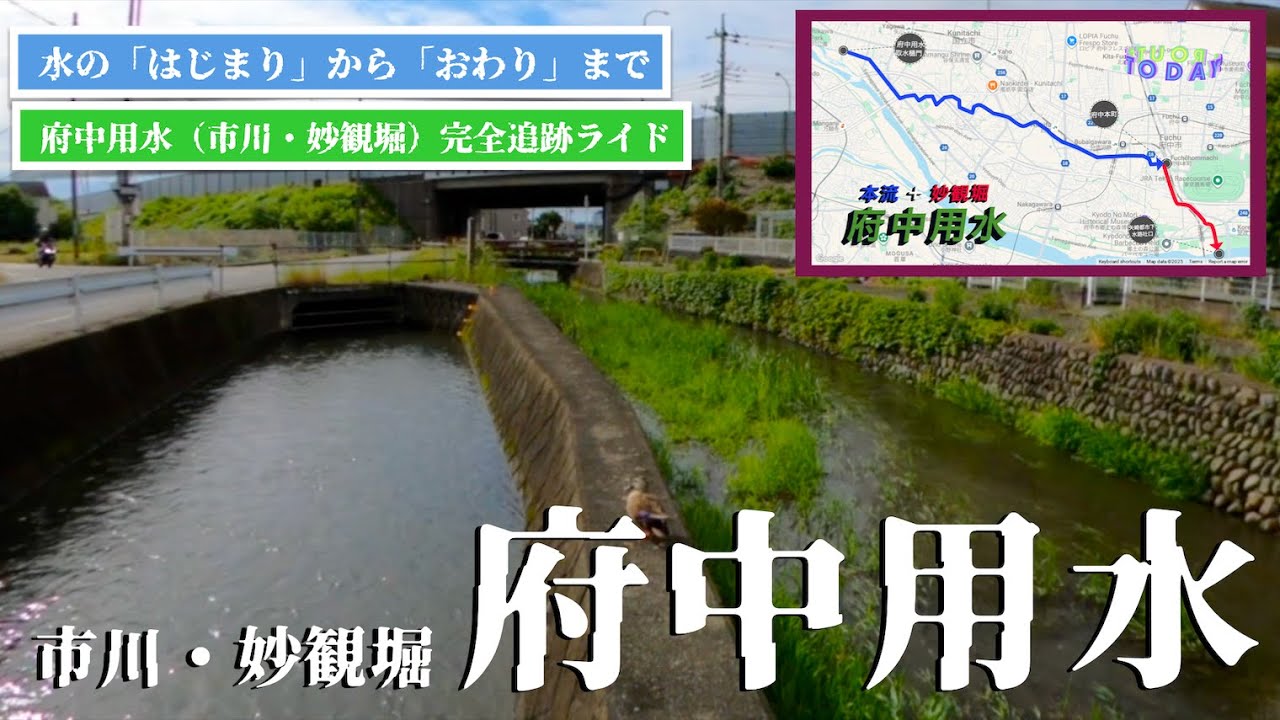 ♬320【府中用水】府中用水本流(市川)＋旧妙観堀(矢崎都市下水路)の流路探訪【TokyoCycling】