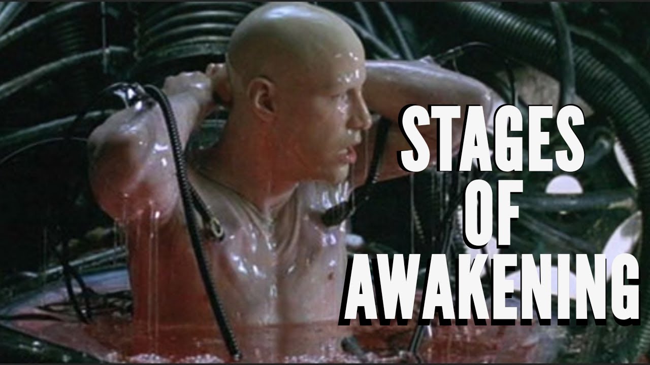 Matrix Code Awakening My 6 Stages Of Awakening - MATRIX REFERENCES - YouTube