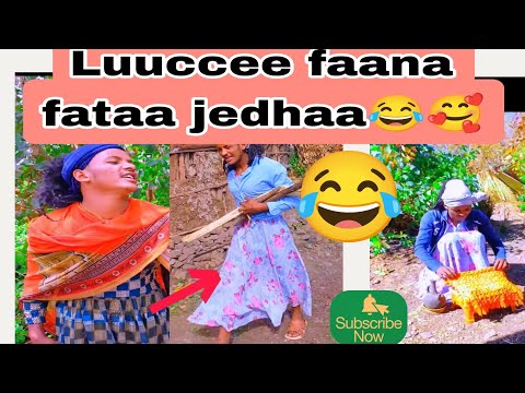 Luuccee Waliin Bashananaamee Kolfaan Maaloo 