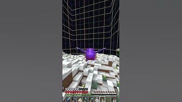 STASH found with pieray minecraft anarchy #minecraftanarchy #basehunting #uneasyvanilla