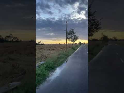 ਮੌਸਮ ਖਰਾਬ 😔🌬️🌾🌾