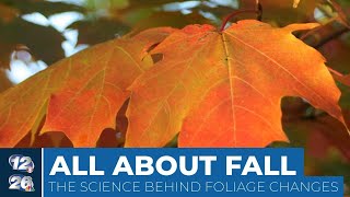 Explaining the science behind fall foliage in opur region
