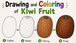 Drawing and Coloring of Kiwi Fruit Easy Fruit Art Tutorial