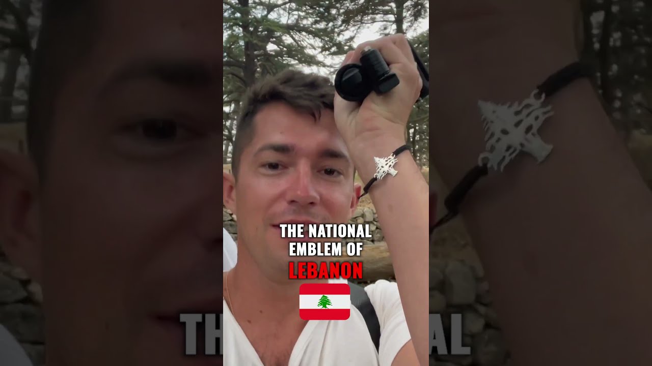 The Cedars of God in Lebanon 🇱🇧