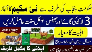 Livestock New Scheme For Janubi Punjab - Punjab CM Punjab New Scheme Phase Start 