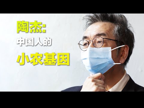 陶杰(上):中国人的小农基因|观点
