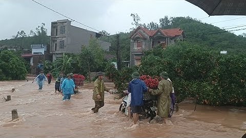 Cận cảnh những chuyến vải thiều lục ngạn vượt sông đến tay người tiêu dùng 2025