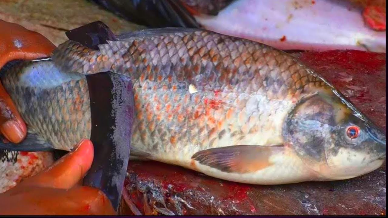 See the magic of how Bengali fishing workers can cut a rui fish in very ...
