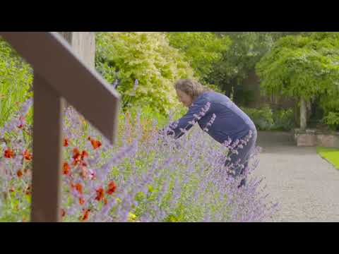 Video National Workplace Wellbeing Day at Dromoland Castle... - youtube