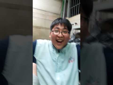 抓老鼠(請開啟CC字幕)