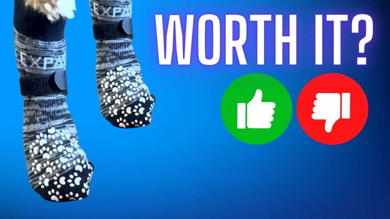 Review: EXPAWLORER Anti-Slip Dog Socks