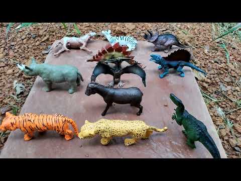 รีวิวของเล่นโมเดล [สัตว์ป่าและไดโนเสาร์] Review of model toys [wild animals and dinosaurs]