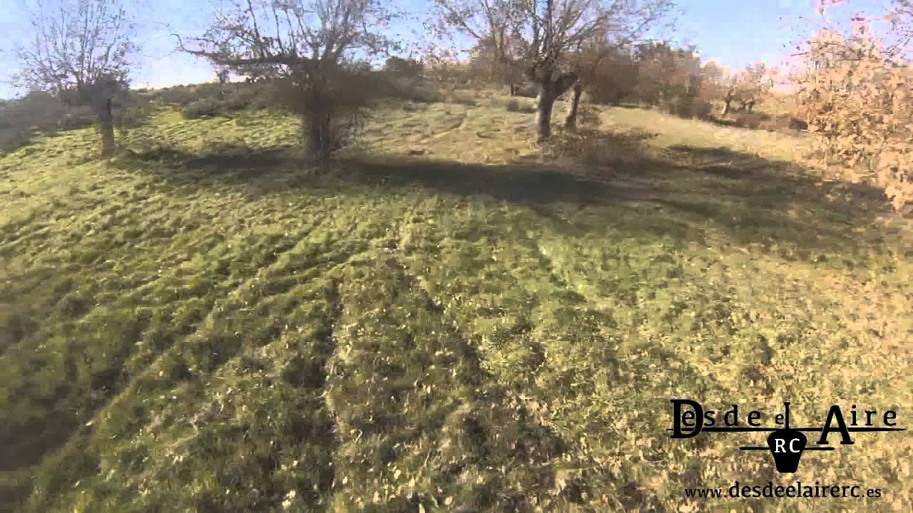 FreeStyle - SIX DARC - Cobra 2204 - www.desdeelairerc.es