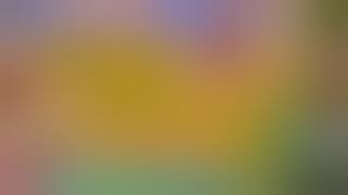 CARA KIRIM CHIP HIGGS DOMINO‼️CARA MEMUNCULKAN TOMBOL KIRIM HIGGS DOMINO ISLAND