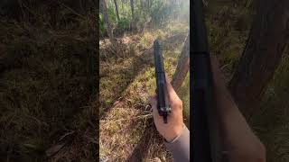 Celebrity Little pew Profile