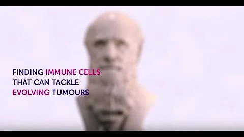 Finding immune cells that can tackle evolving cancers | Immunotherapy | Cancer Research UK
