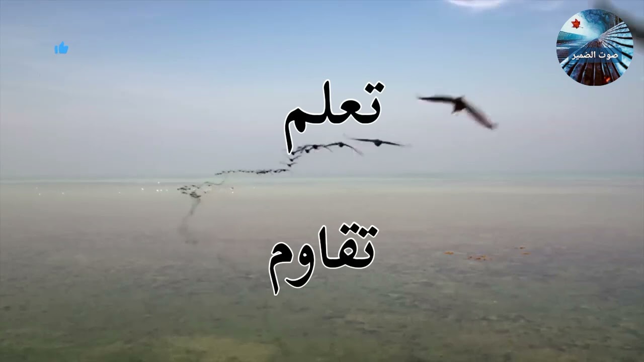 الطريق الصحيح من الفشل الى الإمتياز و الطريق الصحيح للتغلب على الضغوطات و النجاح في التحديات