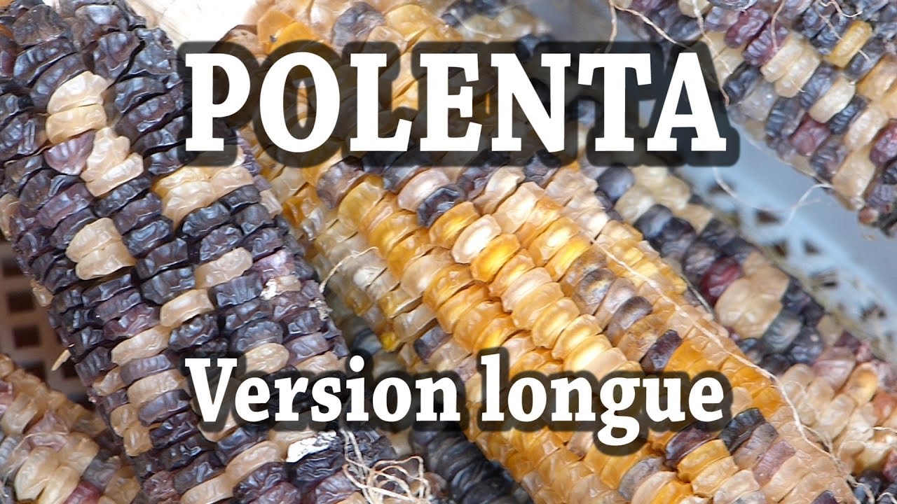 Ep27: Polenta du jardin