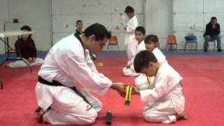 Taekwondo Green Belt Ritual Anubis 5 Years Old -Tegura-