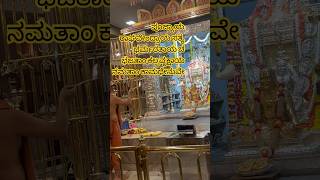 Thursday mini vlog ✨🪷🦢 #adayinmylife #minivlog #cainter #vlog #viral #cafinal