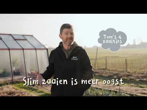 Nieren reinigen in 23 dagen: Het geheim van de 7 kruiden