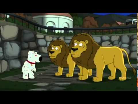 Family Guy Brian Jokes about the Detroit Lions