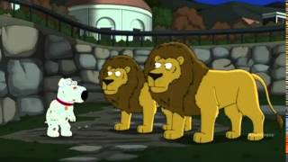 Family Guy Brian Jokes About The Detroit Lions