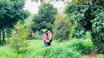 ☘️ Bán 5 Sào Vườn Măng Cụt Sầu Riêng Có Thổ Cư || Ấp 12, Xã Xuân Tây, Huyện Cẩm Mỹ, Tỉnh Đồng Nai