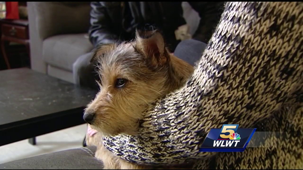 Thief breaks through wall to get into Prospect Hill home