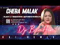 Cheba Malak 3lah Li Nabghih Mayabghinich Remix DJ BraHim