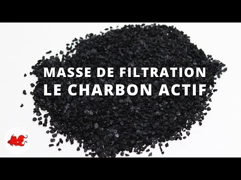 Charbon actif : Masse de filtration aquarium