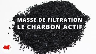 Charbon actif : Masse de filtration aquarium