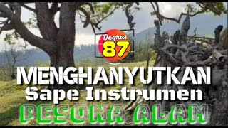Sape Dayak Instrumen || Buat Hanyut || Pesona Alam Ntt