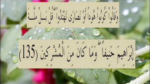 القران الكريم سورة البقرة الاية 135