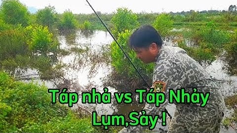 Săn Cá Lóc Đen -Ai Thấu Cho Nỗi Buồn Này !
