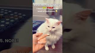 The Funniest Pet Fails | #shorts #pets #usa