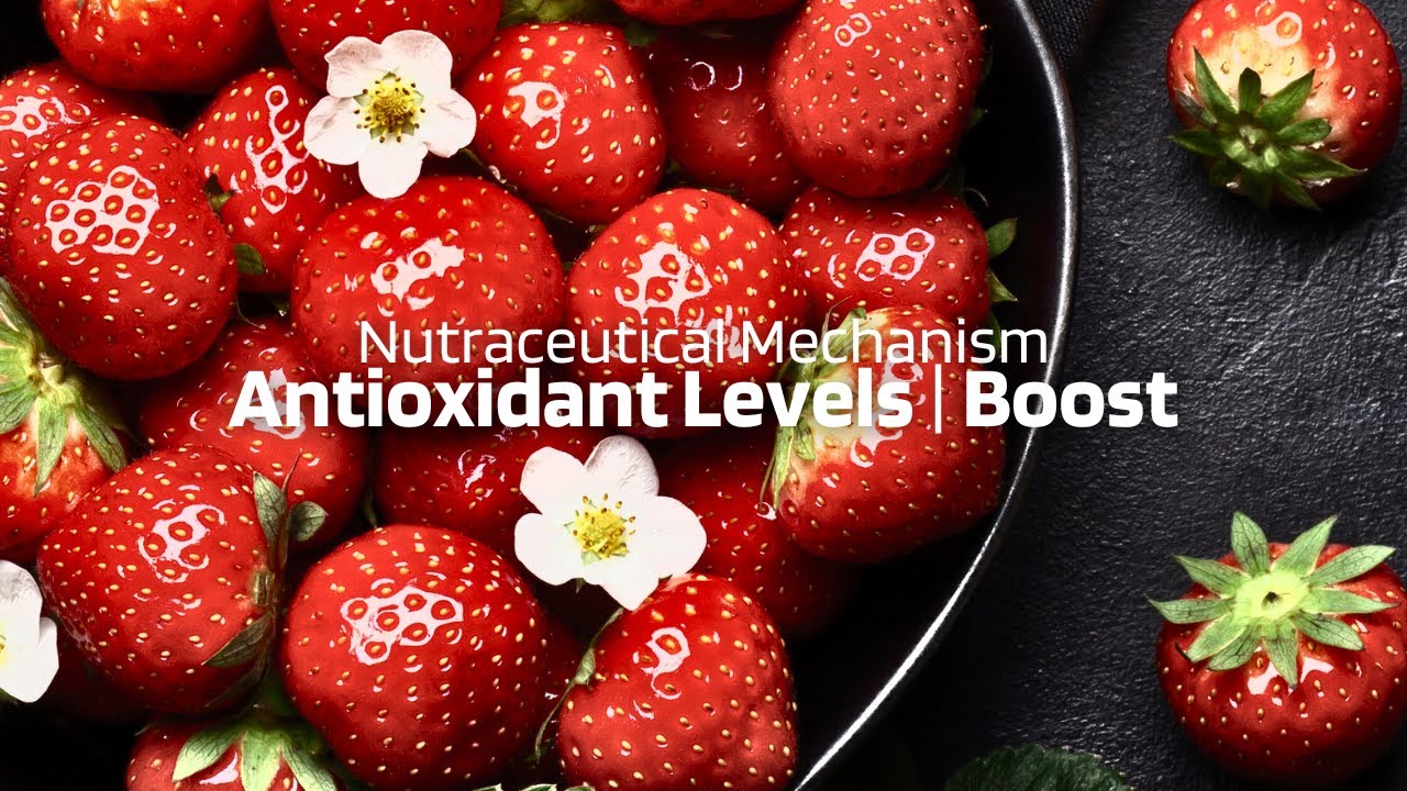 How Strawberries Boost Antioxidant Levels In The Body
