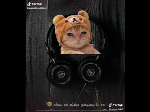 مين همه جرحي