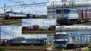 2019/08/04 JR貨物 西浜松午前11時台 専用貨物列車含む4本
