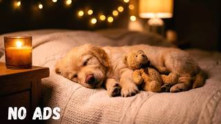 Deep Sleep Dog Calming Music 🐶🎵 Anti Separation Anxiety &amp; Relaxing Sleep Sounds