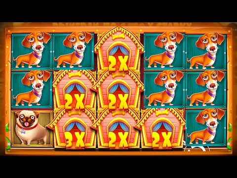 Видео: 👸DOG HOUSE - 150.000 ИЛИ 0 В ДОГ ХАУС???