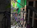 Mountainpeak Everest pro Chameleon #cycling #mountainpeakeverestpro #chameleon #bikes #mtbcritsetup