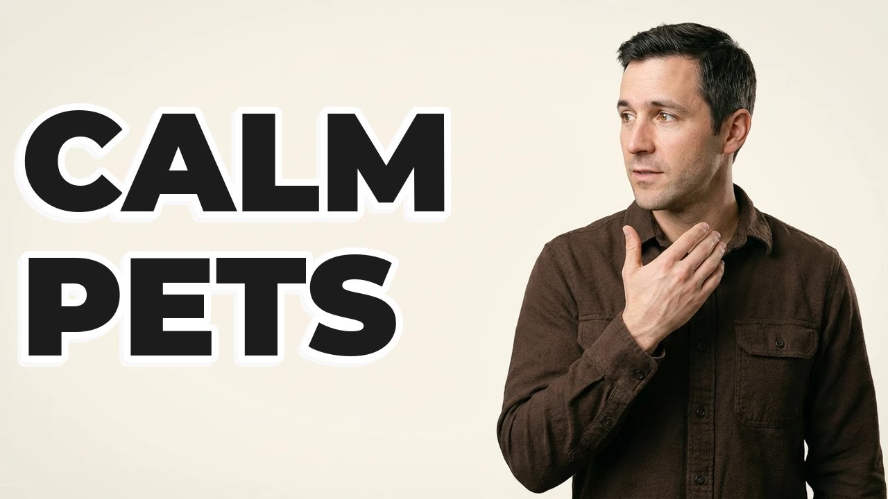 Why Is Routine Important For Anxious Pet Behavior?