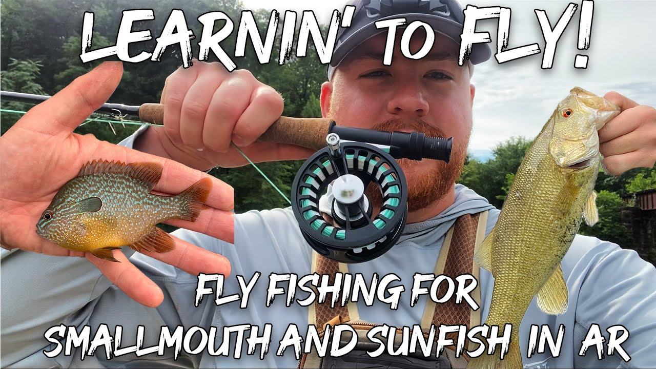 Learnin' to Fly - Wadin' Arkansas Creeks for Smallmouth and Sunfish