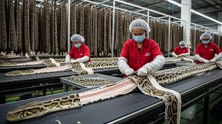 Giant Python Leather Factory Ultra Real Manufacturing Process Full Snake Skin To Jacket Workflow