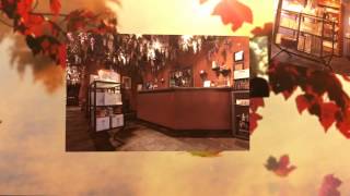 Detox Body Massage Boca Raton Florida