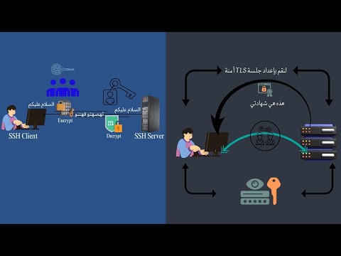 بروتوكولات SSL/TLS وSSH  وTelnet | الفرق بين الأمان والتشفير في الشبكات