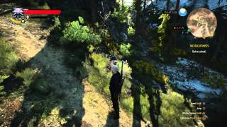 The Witcher 3 - Roach said "Fuck this shit I'm out"