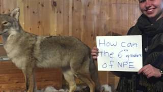 PBL Entry Event: Beaver Lake Nature Center