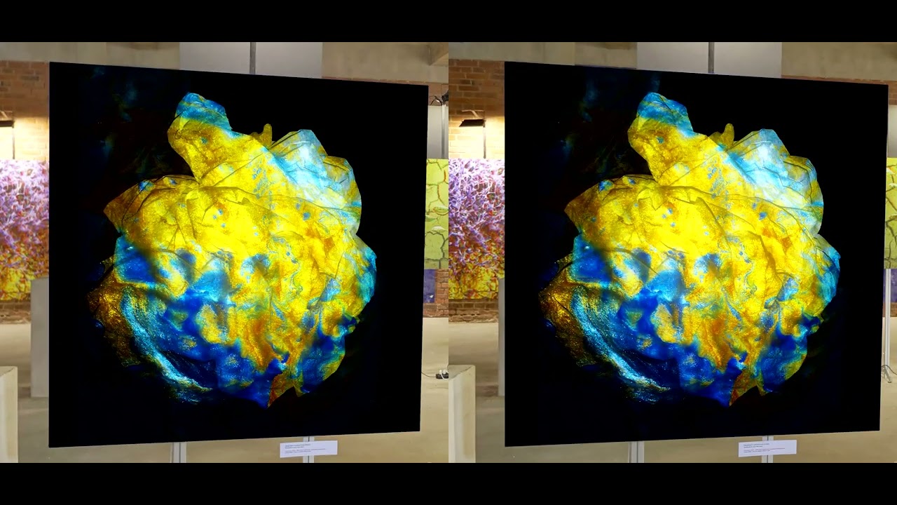 Marek Saenderski - stereo-vision revolution in visual arts.